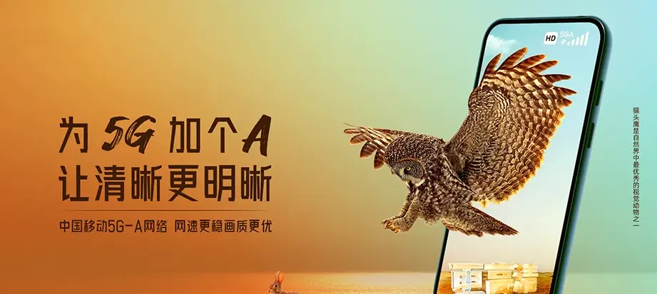 衡东县衡东县白莲镇 移动宽带